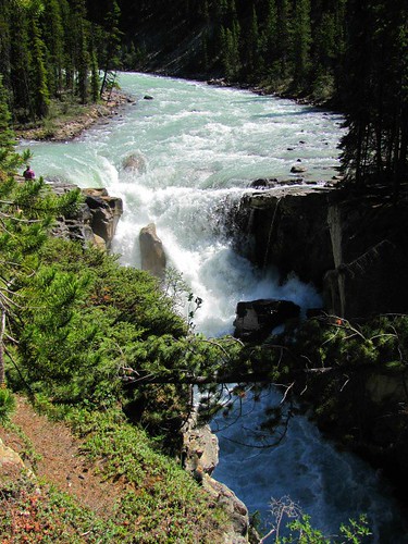 park canada forest waterfall jasper national alberta icefieldsparkway canadianrockies sunwaptafalls sunwaptariver