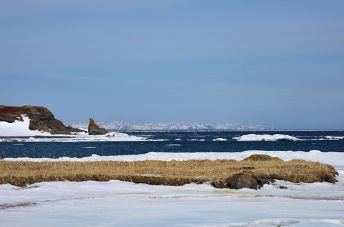 ocean snow ice newfoundland landscape island northernnewfoundland lanceauxmeadows warrensisland