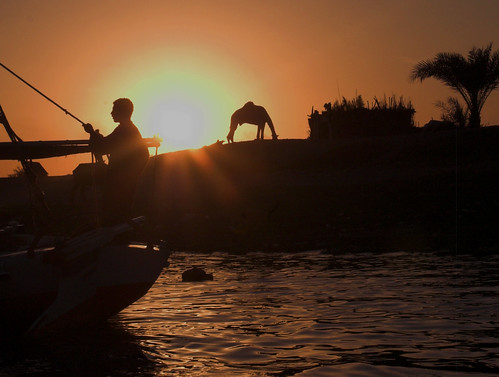 sunset wasser ship sonnenuntergang sundown egypt palm nile camel nil luxor palme schiff ägypten kamel dromedar