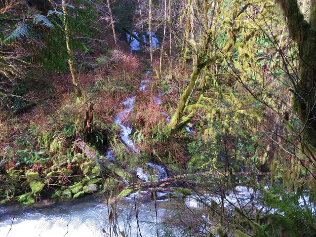 Unnamed waterfall (possibly seasonal) on the far side of Sweet Creek