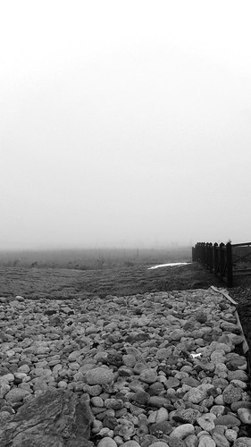 morning blackandwhite mist cold nature monochrome weather fog landscape colorado quiet outdoor horizon foggy serene