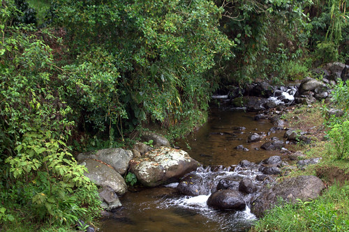 paisajes naturaleza nature water de agua stream colombia arroyo jardín antioquia corriente quebrada paisajeandino