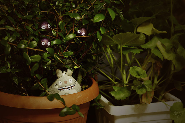 Day #101: totoro thinks that he's alone here