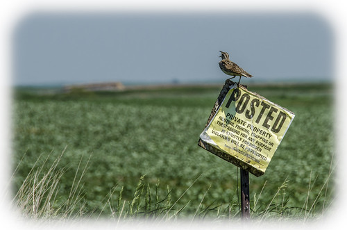 camera unitedstates location northdakota americas mockingbird trespassing enchantedhighway dougmall nikond5100