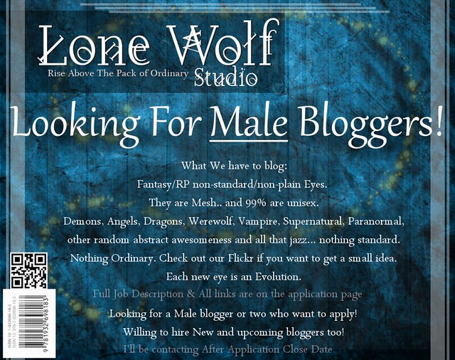 Male Blogger Advert