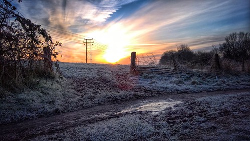 england rural sunrise gate frosty wiltshire morining lumia forsty snapseed 950xl