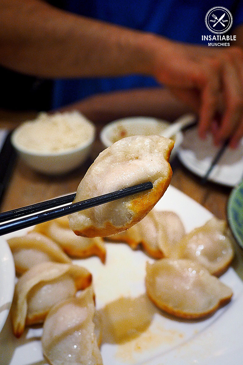 Pan-seared pork dumpling, $10.80: 257 Home Kitchen, Eastwood. Sydney Food Blog Review