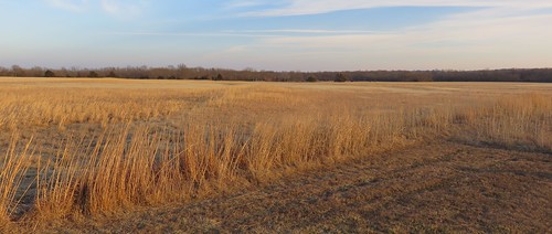 kansas ks linncounty battleofminecreekstatehistoricsite stateparks minecreek battleofminecreek northamerica unitedstates us