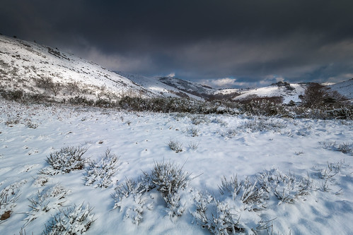winter snow france cold nature french landscape view wind pov neige paysage francia languedocroussillon hérault héric hautlanguedoc douch photoshopcs3 1018mm vialais faguo canon70d benjaminmourot lightroom5 ourtigas