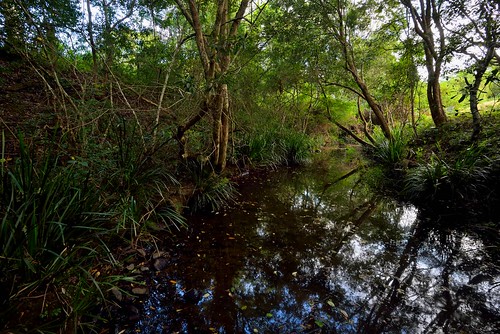 creek landscape australia newsouthwales aus firefly waukivory nikon1635mmf4 nikond750
