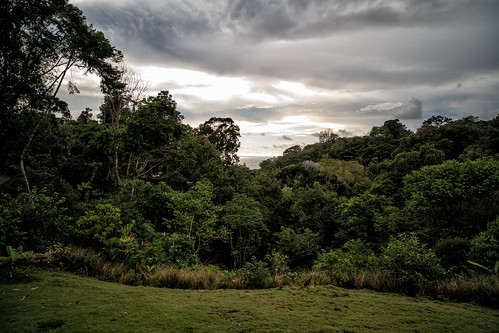 zeiss forest landscape outdoors costarica puntarenas cr ze osapeninsula distagont2821 canon1dx