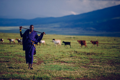 africa park wild canon landscape tanzania farmers outdoor safari ngorongoro goats wilderness grassland goatherd masai eastafrica olduvai tribespeople goatherder ngorongoroconservationarea canoneos5dmarkiii olduvaivalley