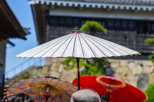 castle japan japanese parasol wafuku nakatsujo nakatsushi wagusa