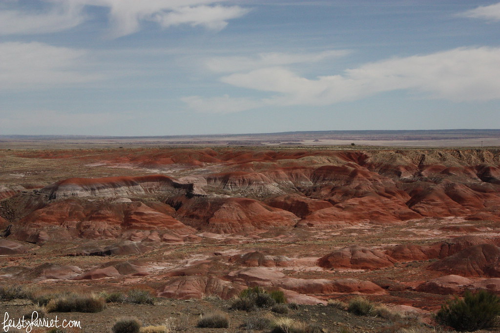 Petrified Forest NP 1_feistyharriet_March 2016