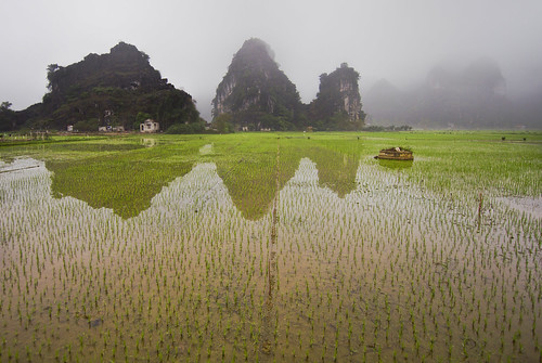 travel reflection nature fog landscape march spring rice farming vietnam ricepaddies 2016 ninhbinh northvietnam galushchak sliceofrice
