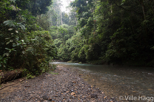 camp trek river sumatra indonesia landscape scenery id jungle gunungleuser northsumatra batangserangan