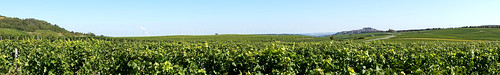 panorama france vineyard view frankrijk sancerre iman wijngaard heijboer imanh