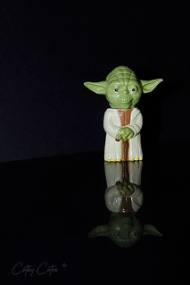 Yoda Reflection