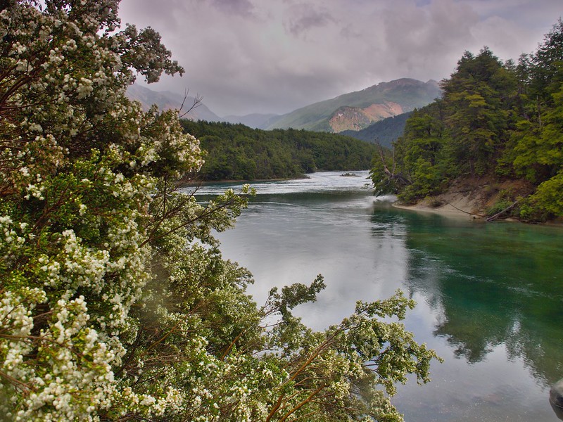 Cambio de planes: Nos vamos del PN Los Alerces al PN Lago Puelo - Por la Patagonia ARGENTINA (4)
