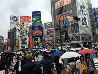 Japan - Tokyo (Shibuya)