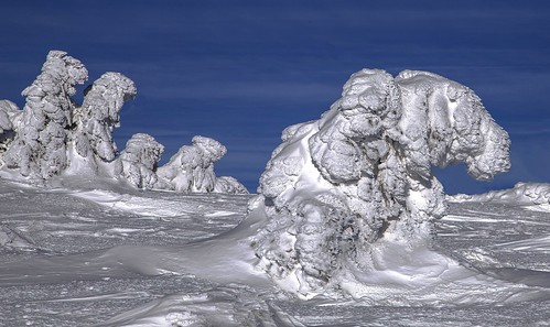 harz snow schnee germany deutschland brocken alien bäume baum tree ice winter white jhuettel