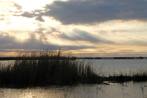 sunset sky cloud water grass louisiana bayou wetland
