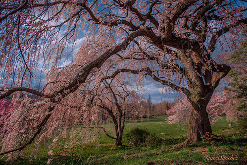 sky clouds landscape newjersey spring colorful skylans