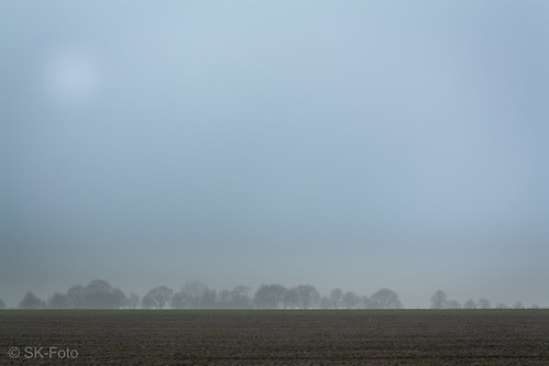 mist fog landscape nebel landschaft knellesen