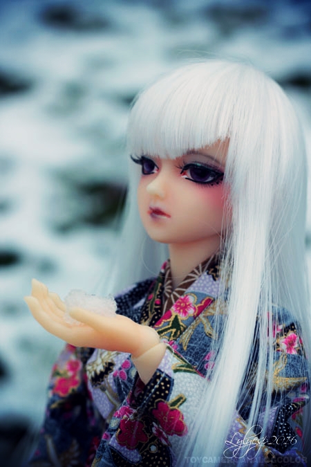 [ Dreaming Doll Misora ] Reine des neiges / 18-01-16 - Page 2 24464293385_e1644dfbdc_o