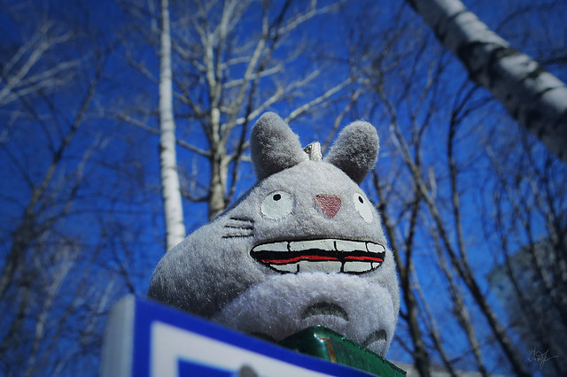 Day #87: totoro is up to something
