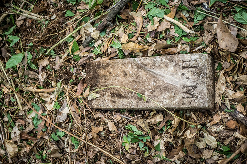 Brandon Mill Cemetery Cleanup-87