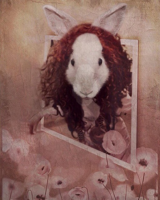 Tell me, is this a real world?  iphone 6, Outcolor2, Amazing Wigs pro, Animal Face,  Stackables, iColorama, Snapseed