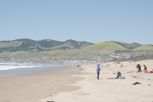 california us oceanodunes recreationarea