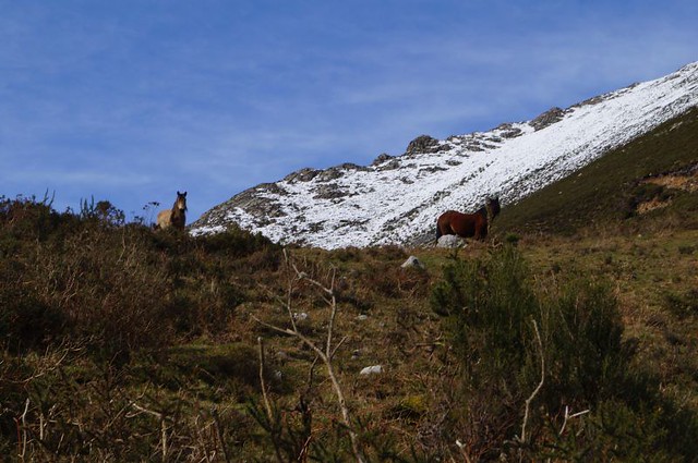 Pico Urro (Belmonte) - Descubriendo Asturias (13)