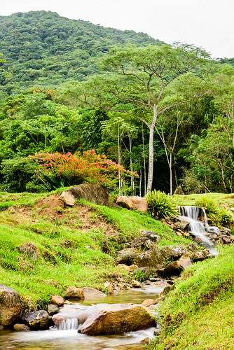 ranch brazil sc nature water brasil woods agua natureza sítio mata saofranciscodosul