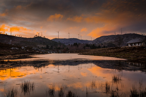 trees sunset panorama house lake nature water grass rural reflections landscape countryside paisagem windenergy sãopedrodosul candal conutryside
