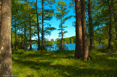 Greenfield lake 4_HDR2