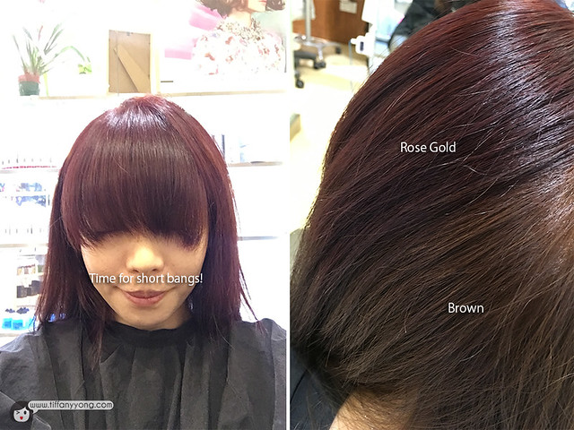 Shunji Matsuo Two Tone Rose Gold Hair