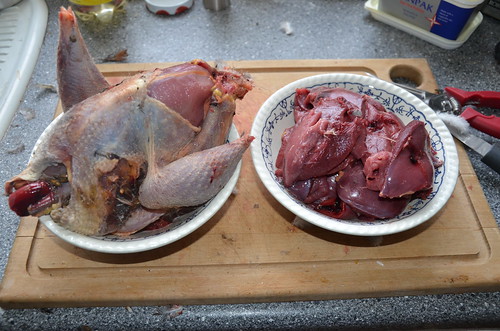 pheasant and pigeon breasts Feb 16