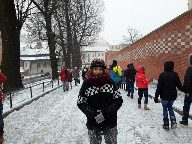 4 días en Varsovia y Cracovia,  con temperaturas bajo cero - Blogs de Polonia - Visita por Cracovia, Fábrica de Schindler y vuelta a Varsovia (10)