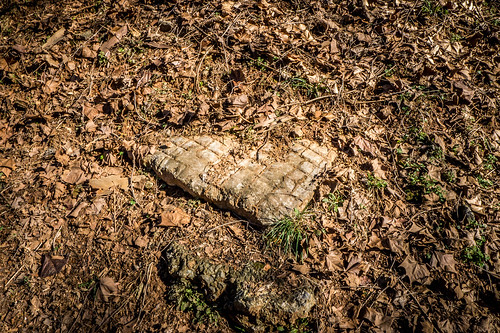 Brick Remnants on Swamp Rabbit Trail