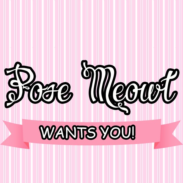 Pose Meowt wants Bloggers!