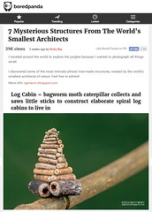 7 Mysterious Structures From The World’s Smallest Architects