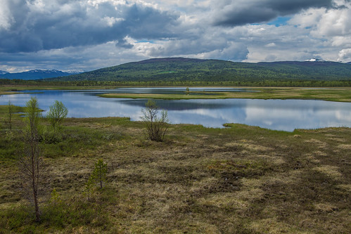 lake expedition wetlands bog birdwatching rennebu slettestjønna fugleturjuni2015