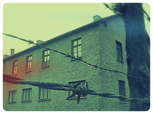Auschwitz - filo spinato