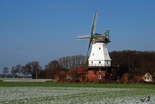 deutschland windmills windmühlen mühlen nikond80 mühlendiepholz