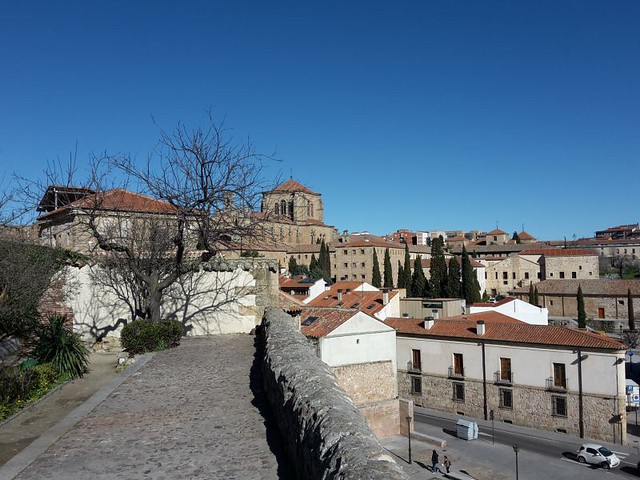Un paseo por Salamanca (1/2d) - Conociendo España (43)