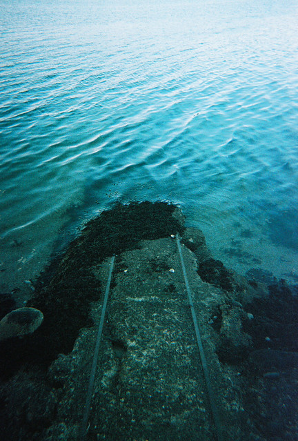 tracks into water
