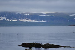 hornstrandir view from West Fjord mainland
