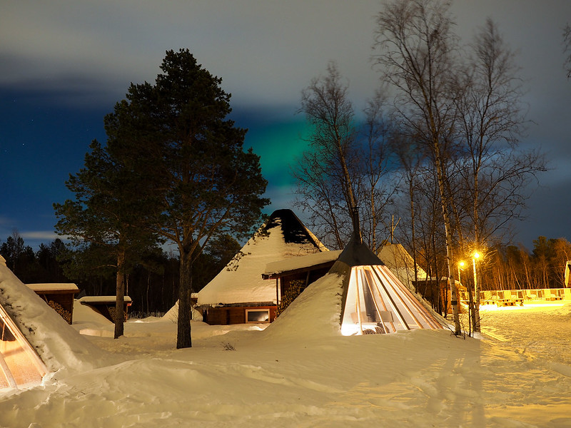 Holmen Husky Lodge in Alta, Norway